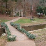 Cave Springs