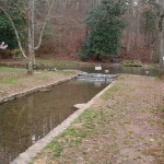 Cave Springs