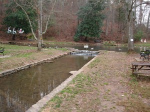 Cave Springs