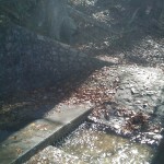 Cave Springs