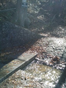 Cave Springs