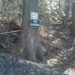 Cave Springs