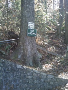 Cave Springs