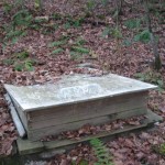 Immortal Spring Wooden Spring House