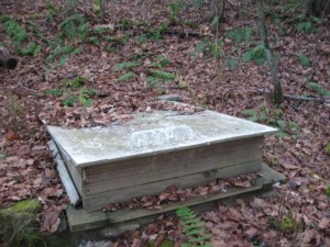 Immortal Spring Wooden Spring House