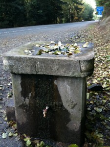 Mile Marker 28 Spring