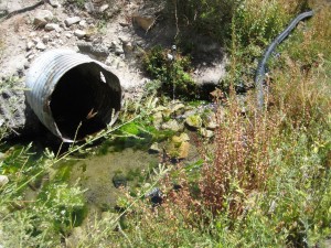 Artic Circle Spring Artic Circle Spring
