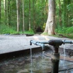 Healing Springs