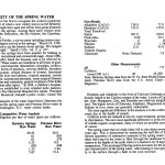 Flyer 1