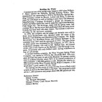 Flyer 3