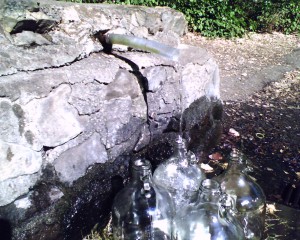 Rattlesnake Spring