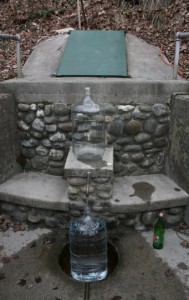 Johnson Spring