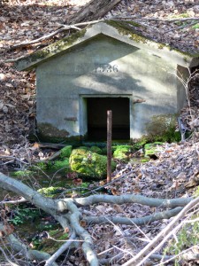 Wildcat Run Spring, Ludlow, PA