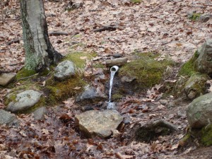 Mt. Hitchcock Spring, Wales, MA