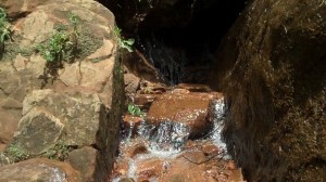 Sawmill Springs