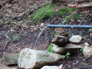 The Healing Spring