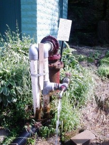 Artesian Well at Paradise Cove Artesian Well at Paradise Cove