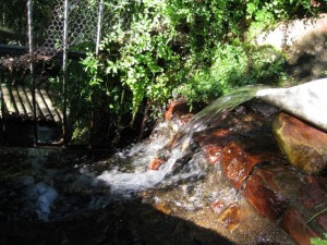 Newlands Spring Newlands Spring