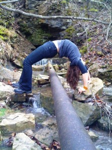Shelman Spring