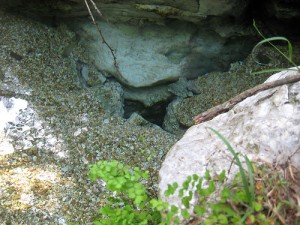 Gorman Spring