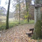 Zum Erlenborn Spring