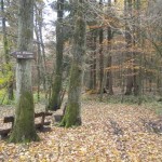 Zum Erlenborn Spring