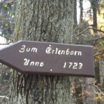 Zum Erlenborn Spring