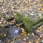 Zum Erlenborn Spring