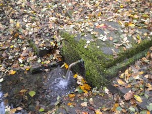Zum Erlenborn Spring