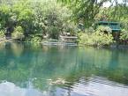 Aquarena Springs Aquarena Springs