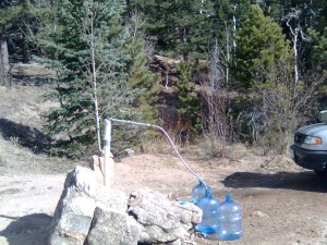 Ward Spring Ward Spring