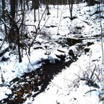 Brinkhaven Spring