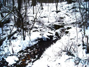 Brinkhaven Spring