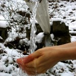 Brinkhaven Spring