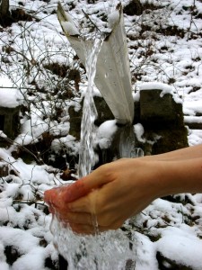 Brinkhaven Spring