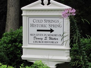 Cold Springs, Bryson City, NC