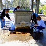 Saratoga Spring