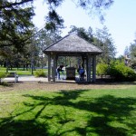 Saratoga Spring