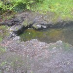 Bagby Hot Springs
