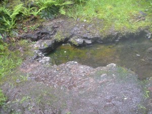 Bagby Hot Springs